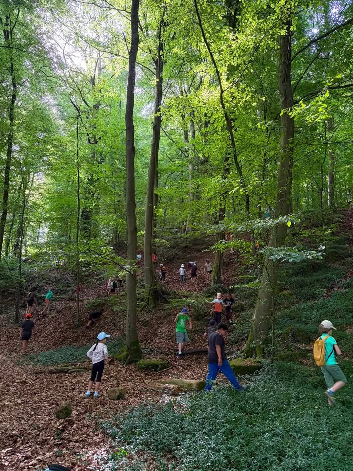 Ecole "Le Bois Haut" Halanzy