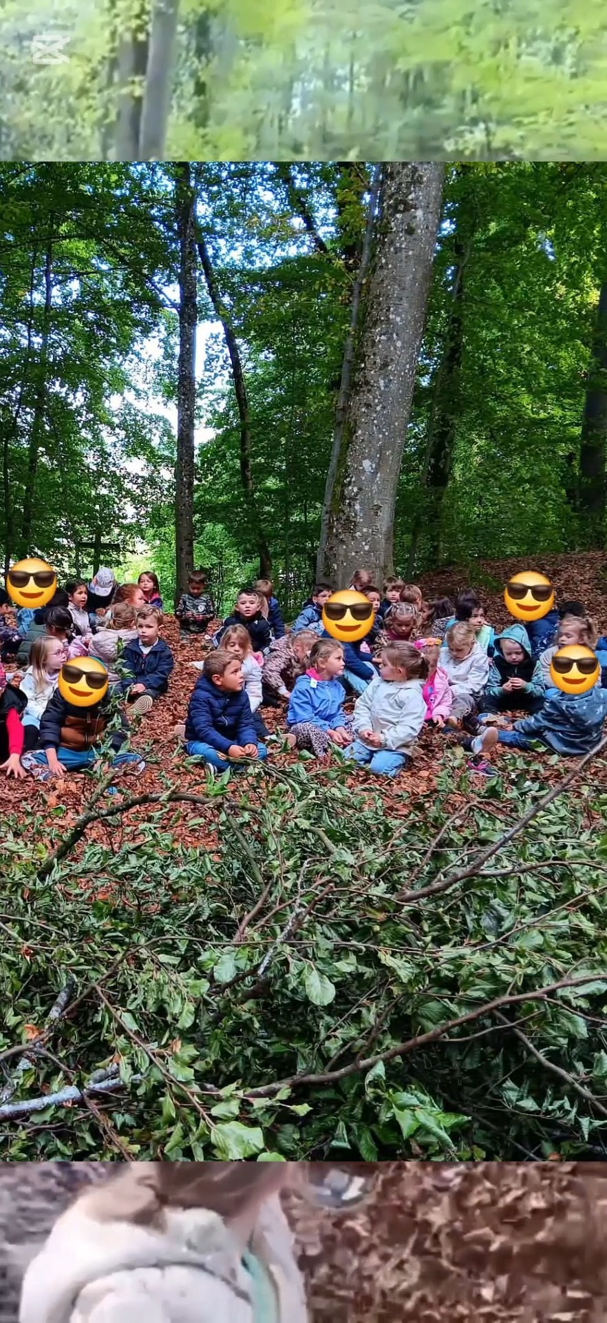 Ecole "Le Bois Haut" Halanzy