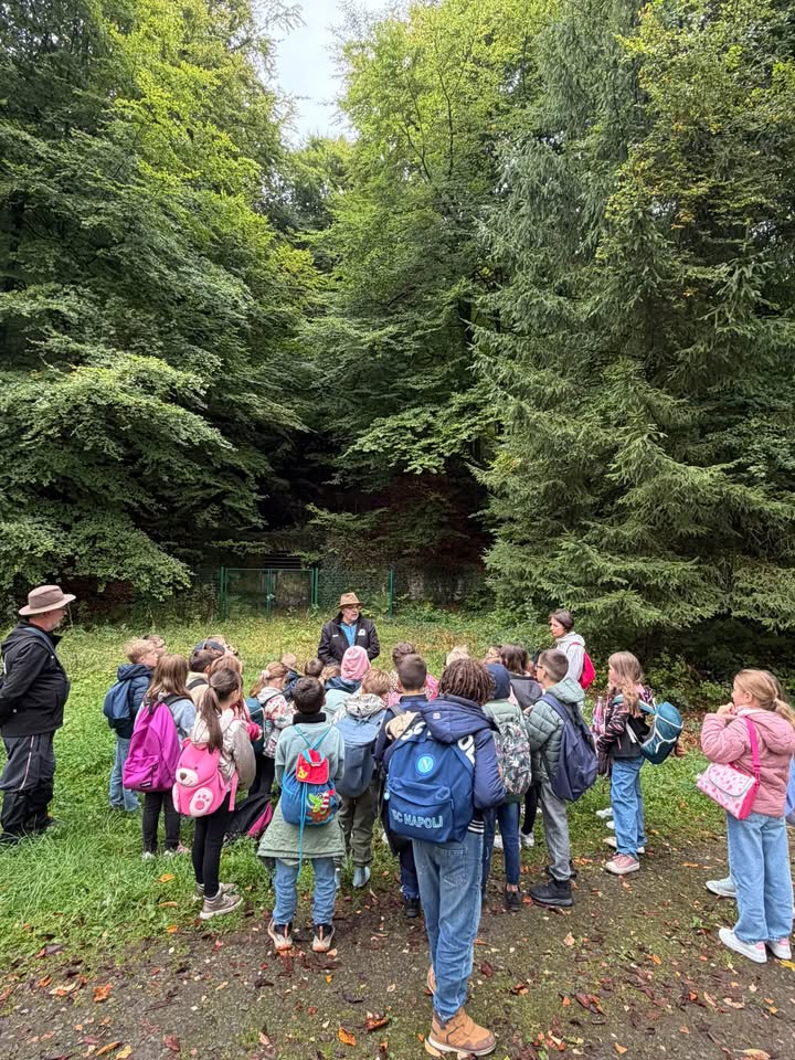 Ecole "Le Bois Haut" Halanzy
